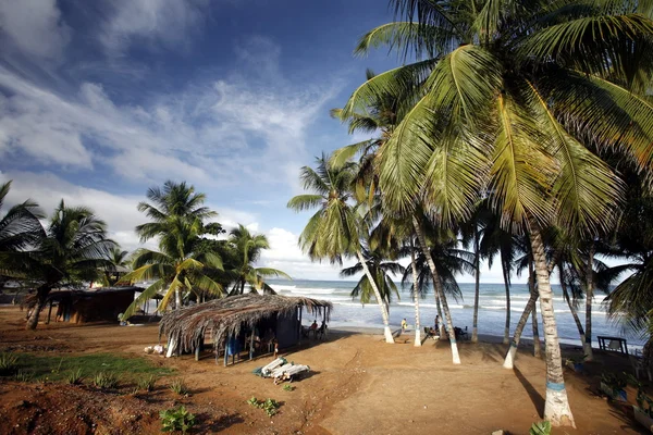 Palmiye ağaçları ve kulübe Denizi sahilinde — Stok fotoğraf