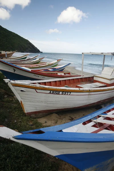 Kust op het strand in de stad van Manzanillo — Stockfoto