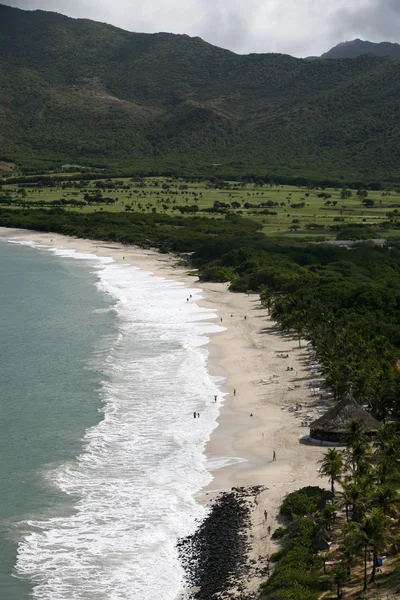 Zuid-Amerika Venezuela Isla Margatita Pedro Gonzalez Beach — Stockfoto