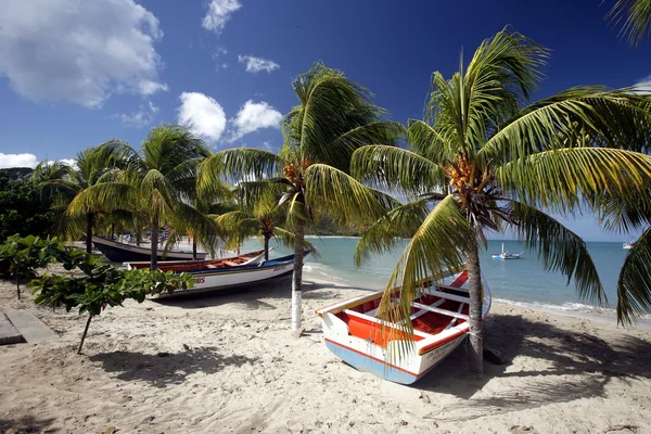 Beach Playa Pedro Gonzalez — Stok fotoğraf