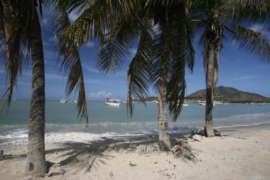Güney Amerika Venezuela Isla Margatita Juangriego Beacg
