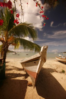 Güney Amerika Venezuela Isla Margatita Juangriego Beacg