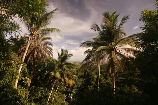 南美洲委内瑞拉 margatita la asuncion 景观岛 — 图库照片