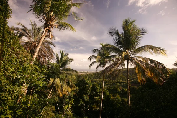 Jižní Ameriky Venezuela Isla Margatita La Asunción krajina — Stock fotografie