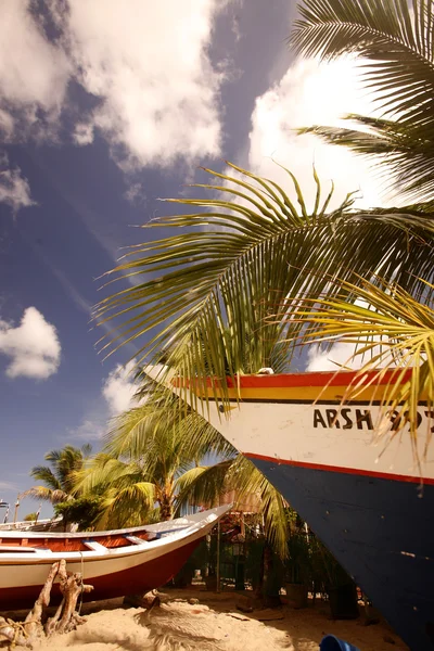 Güney Amerika Venezuela Isla Margatita Juangriego Beacg — Stok fotoğraf