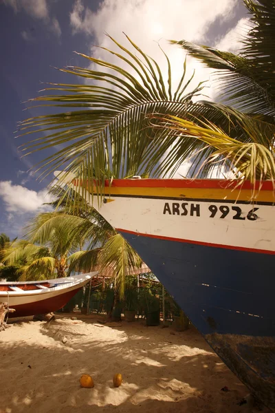 Güney Amerika Venezuela Isla Margatita Juangriego Beacg — Stok fotoğraf