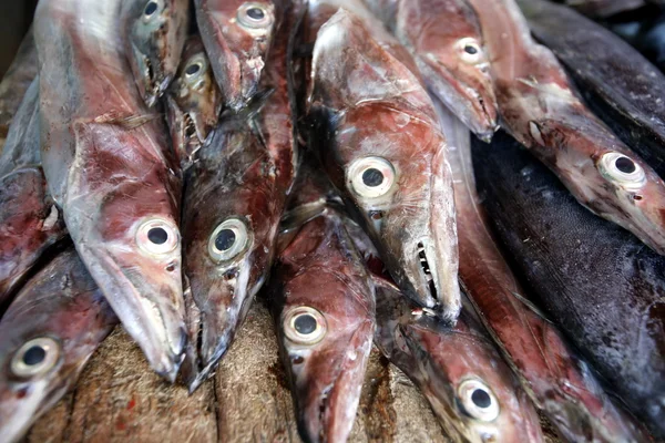 SOUTH AMERICA VENEZUELA ISLA MARGATITA JUANGRIEGO FISH MARKET — Stock Photo, Image