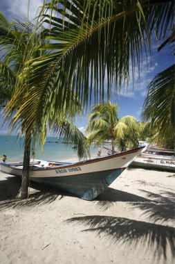 Beach Playa Pedro Gonzalez