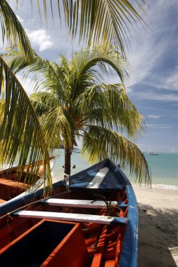 Güney Amerika Venezuela Isla Margatita Pedro Gonzalez Beach