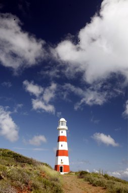 Işık plajda Playa Pedro Gonzalez