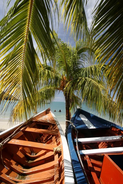 Güney Amerika Venezuela Isla Margatita Pedro Gonzalez Beach — Stok fotoğraf