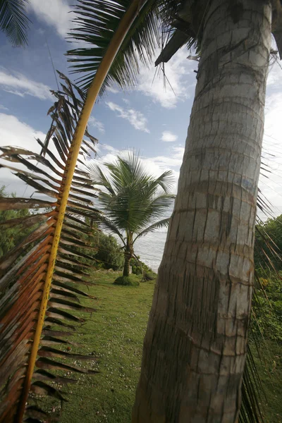 Güney Amerika Venezuela Isla Margatita El Cardon Beach — Stok fotoğraf