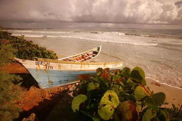 Südamerika venezuela isla margatita el cardon strand — Stockfoto