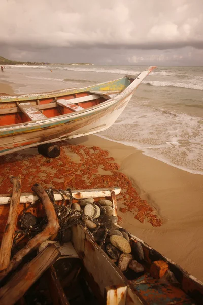 El Cardon na Isla Margarita — Fotografia de Stock