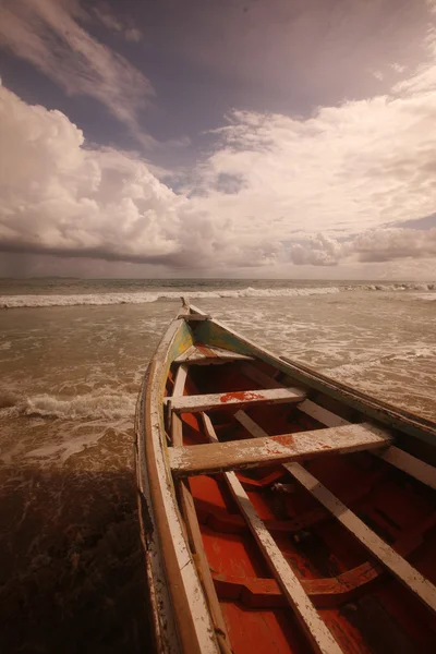 El Cardon na Isla Margarita — Fotografia de Stock