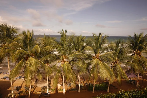 Güney Amerika Venezuela Isla Margatita Guacuco — Stok fotoğraf