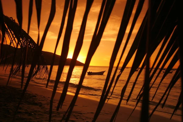 Sydamerika Venezuela Isla Margarita Manzanillo — Stockfoto