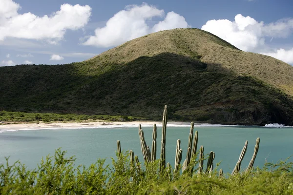 Beach Playa Pedro Gonzalez — Stok fotoğraf