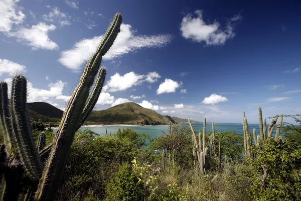 Stranden Playa Pedro Gonzalez — Stockfoto