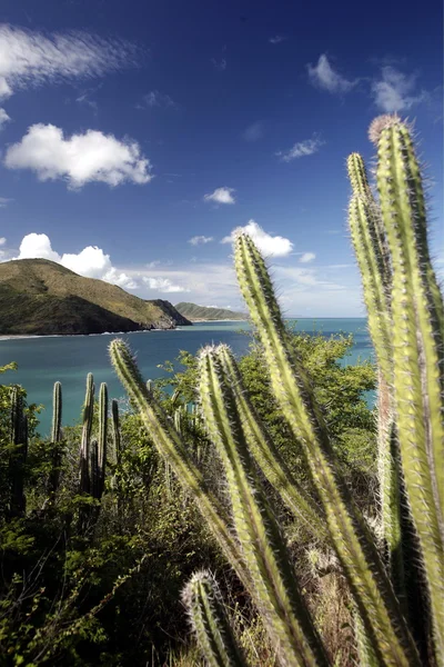 Stranden Playa Pedro Gonzalez — Stockfoto