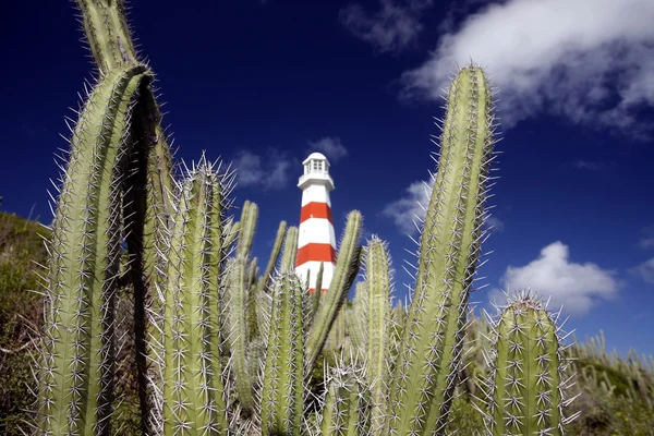 Lighttower en la playa Playa Pedro González — Foto de Stock