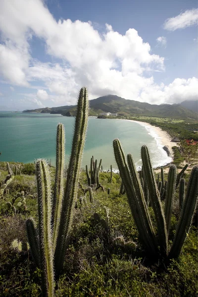 Stranden Playa Pedro Gonzalez — Stockfoto