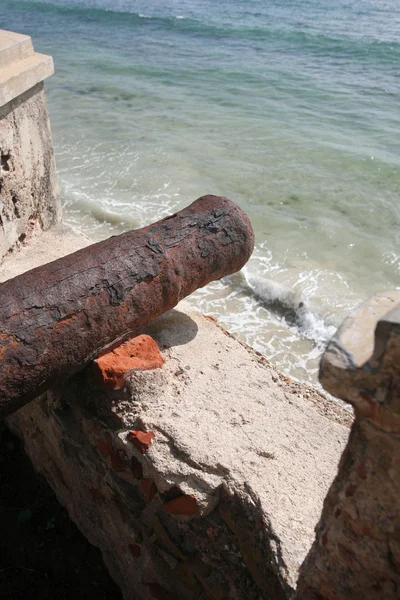 Castillo de San Carlos Borromeo — Stockfoto