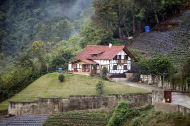 geleneksel kara orman evi Venezuela