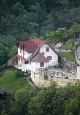 geleneksel kara orman evi Venezuela