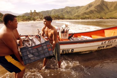  Chuao kasabasında sahilde Fisharmen
