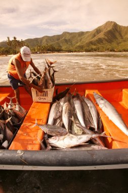  Chuao kasabasında sahilde Fisharman