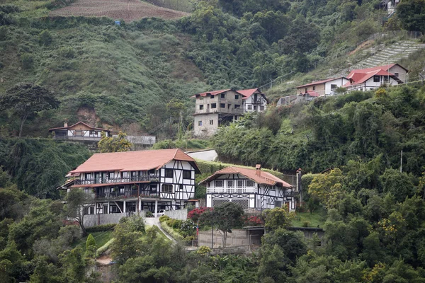 Traditionele Zwarte Woud-huizen in Venezuela — Stockfoto