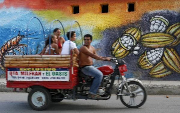 Paintings of cacao beans at a road — Stock Photo, Image