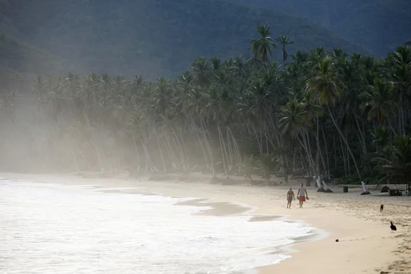 Güney Amerika Venezuela Choroni Beach — Stok fotoğraf