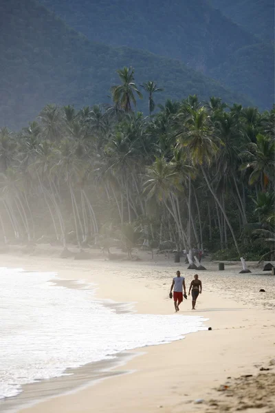 Güney Amerika Venezuela Choroni Beach — Stok fotoğraf