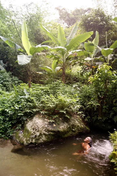 남미 베네수엘라 Choroni 자연, 숲 — 스톡 사진