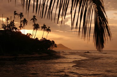 Güney Amerika Venezuela Choroni Beach