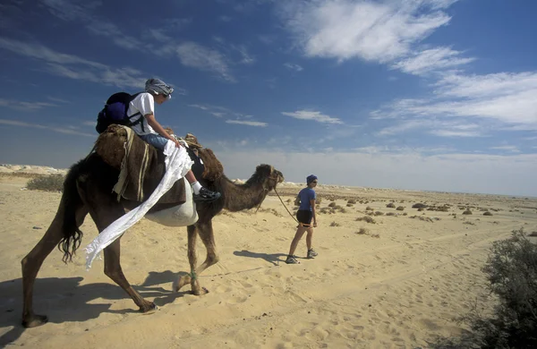 Paysage et nature dans le désert blanc en Egypte — Photo