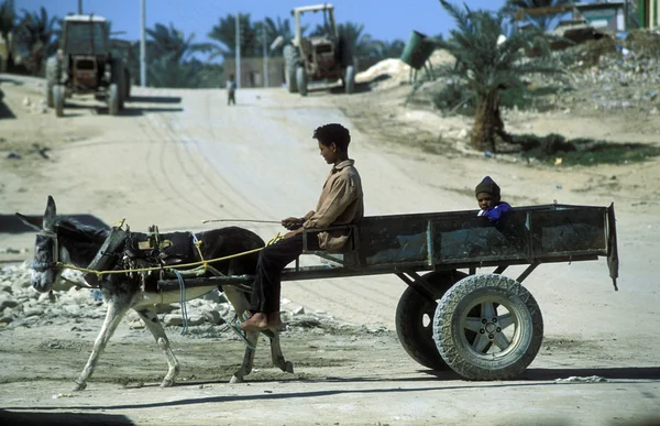 Transportasi di Oasis dan desa Siwa — Stok Foto