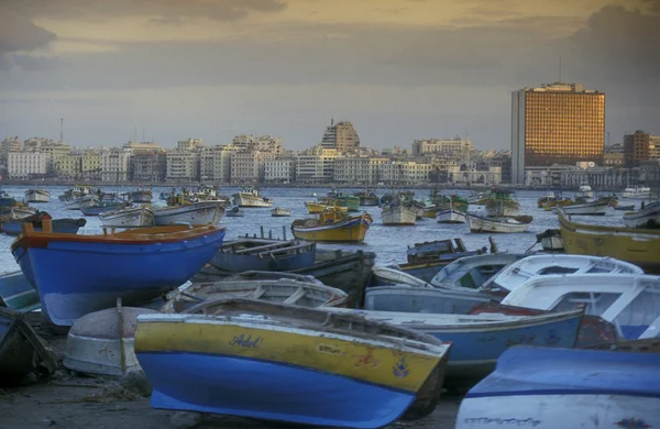 Kusten vid al corniche vägen i staden Alexandria — Stockfoto