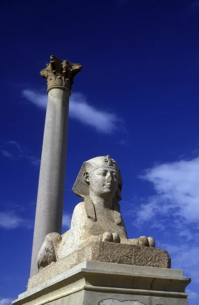 Pompey ayağı İskenderiye şehir merkezinde — Stok fotoğraf