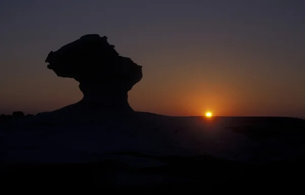 Afrika Egypten Saharaöknen Farafra vit — Stockfoto