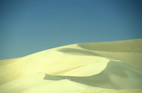 Sanddünen nahe der Oase — Stockfoto