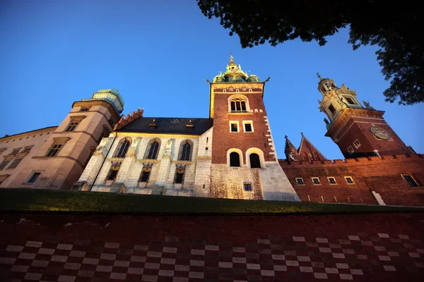 Zamek Królewski na Wawelu — Zdjęcie stockowe