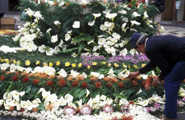 Parade of the Spring Flower Festival