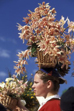 Parade of the Spring Flower Festival