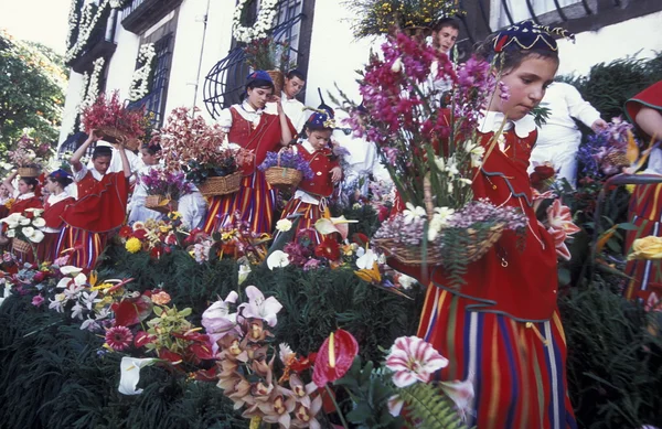 Parade of the Spring Flower Festival — Zdjęcie stockowe