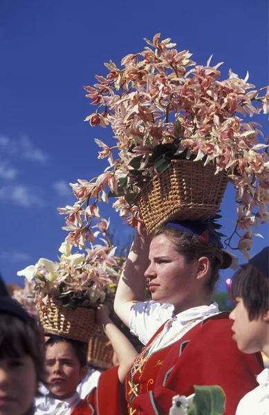 Parade of the Spring Flower Festival — Φωτογραφία Αρχείου