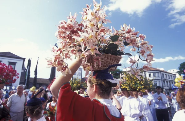 Parade des Frühlingsblumenfestes — Stockfoto