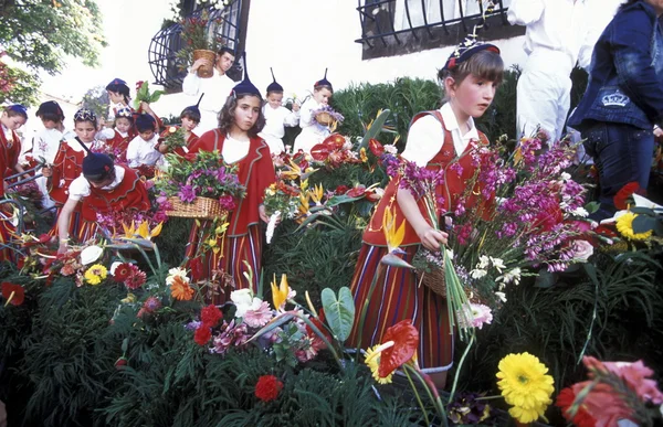 Parade of the Spring Flower Festival — Stock Photo, Image